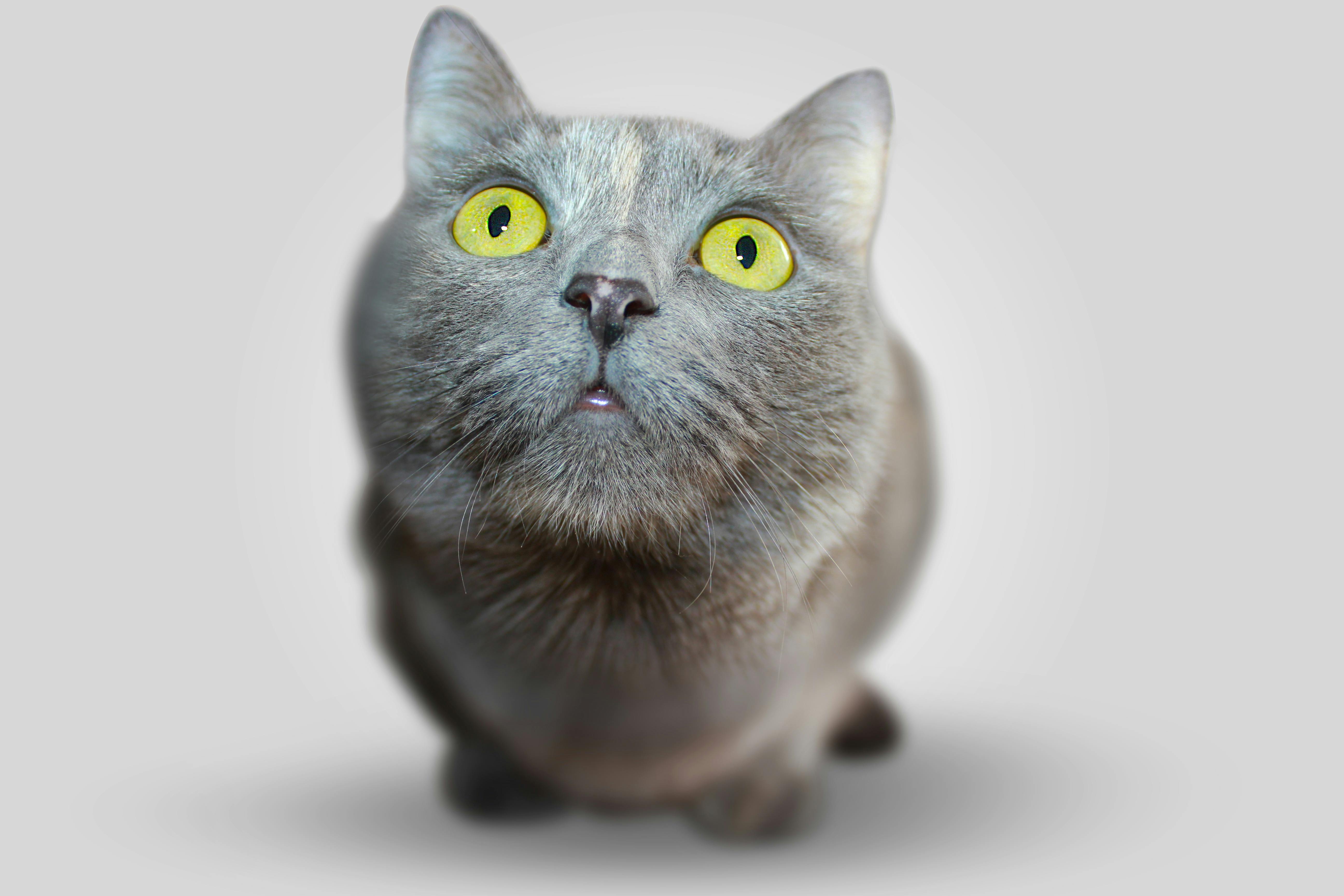weg