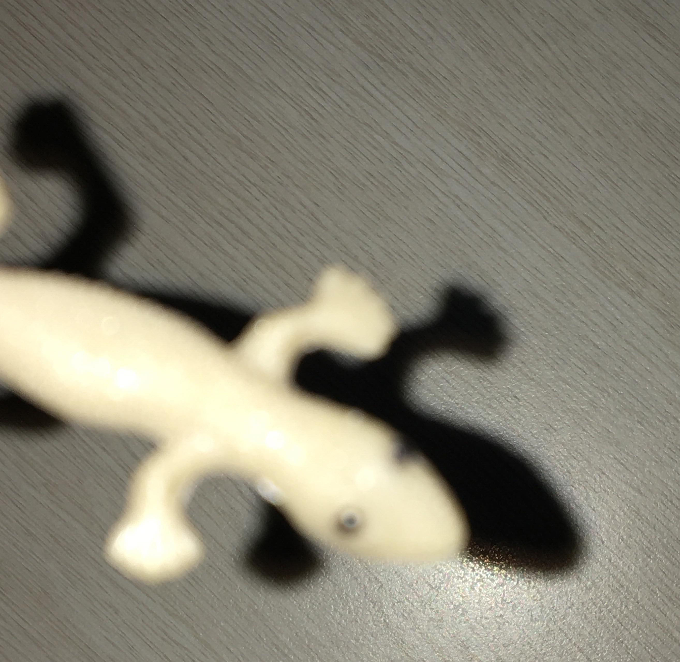 壁虎先生（MrGeckoBiHu）